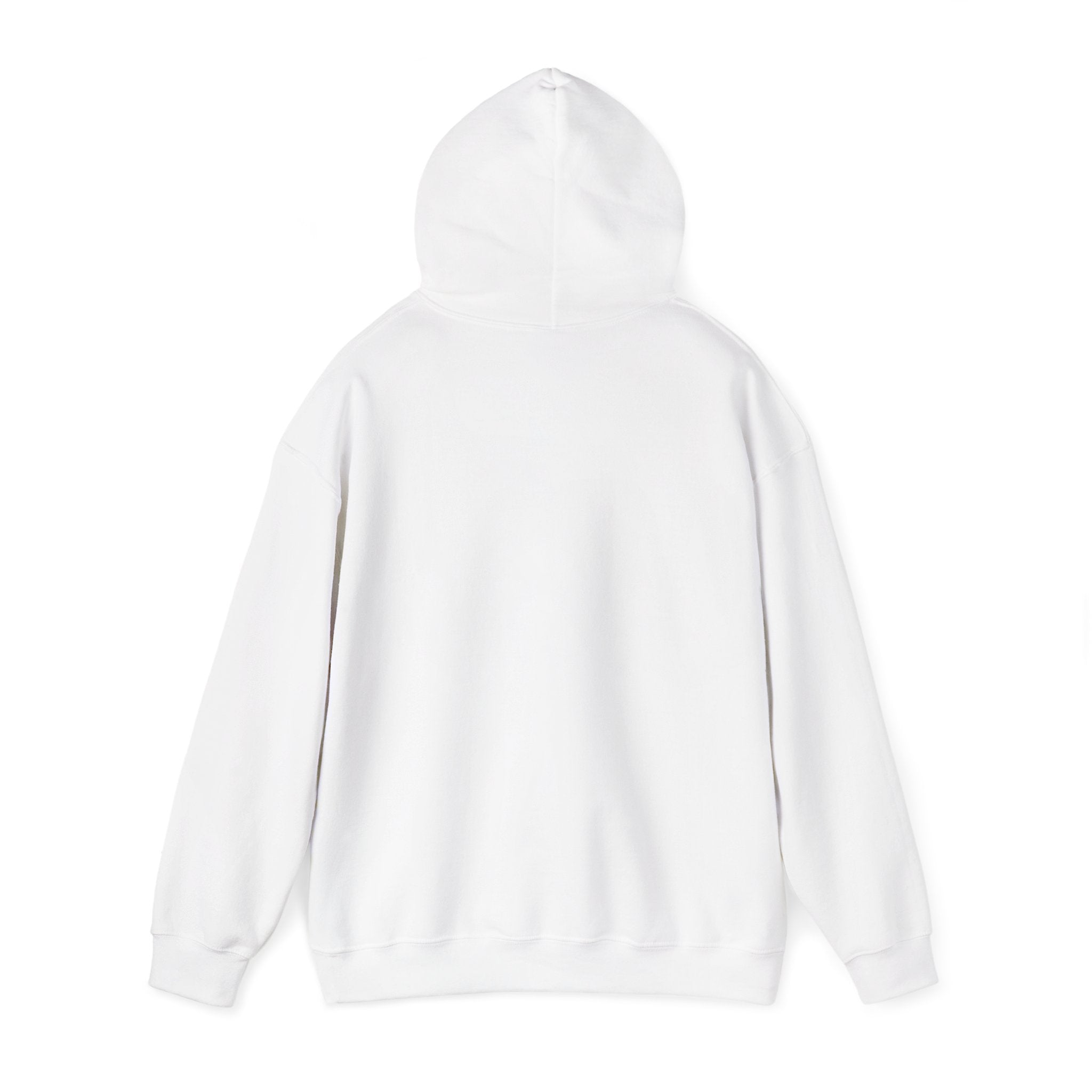 Normalize Sobriety Hoodie — Minimalist Recovery Awareness Pullover