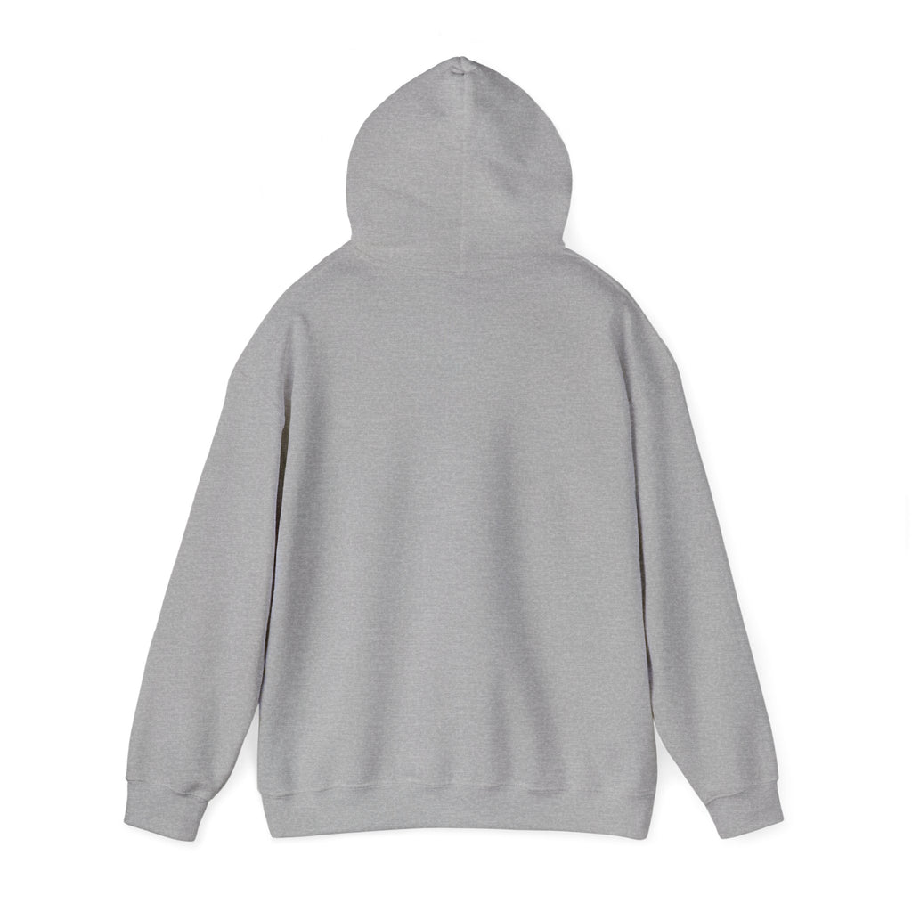 Normalize Sobriety Hoodie — Minimalist Recovery Awareness Pullover