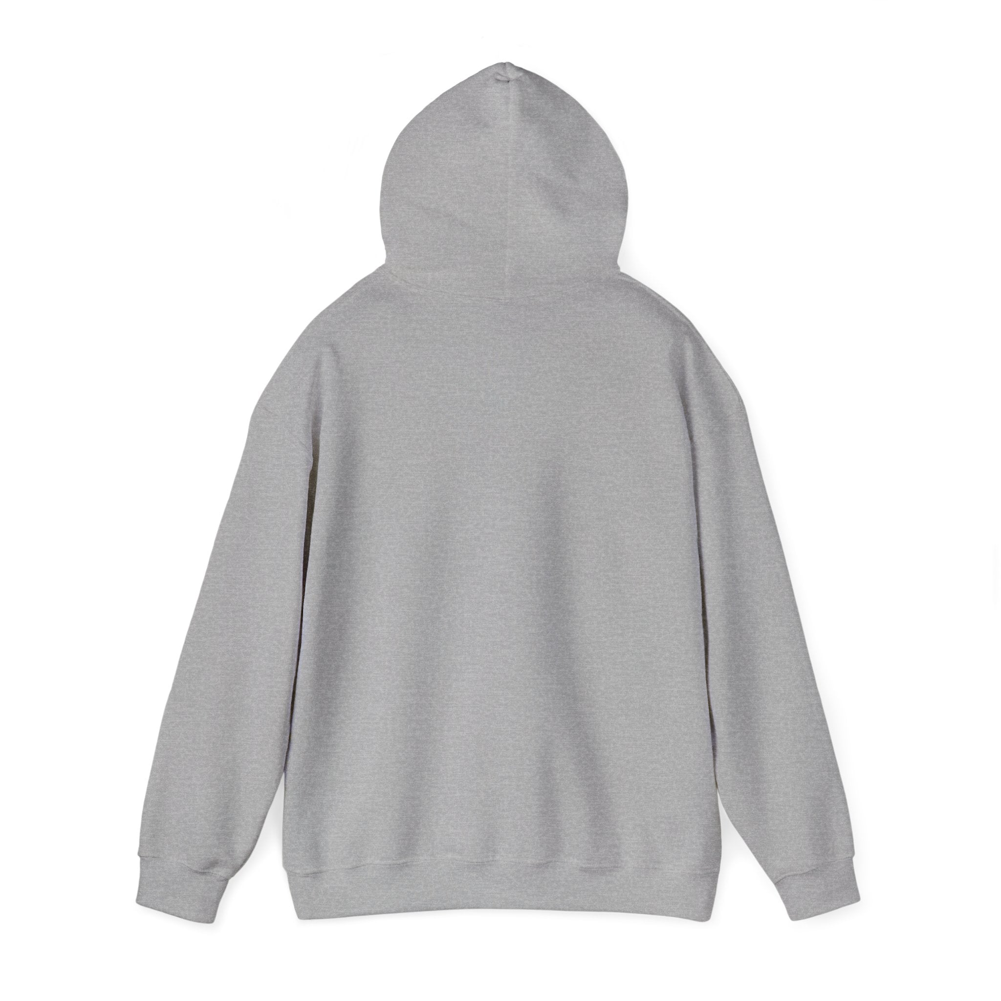 Normalize Sobriety Hoodie — Minimalist Recovery Awareness Pullover