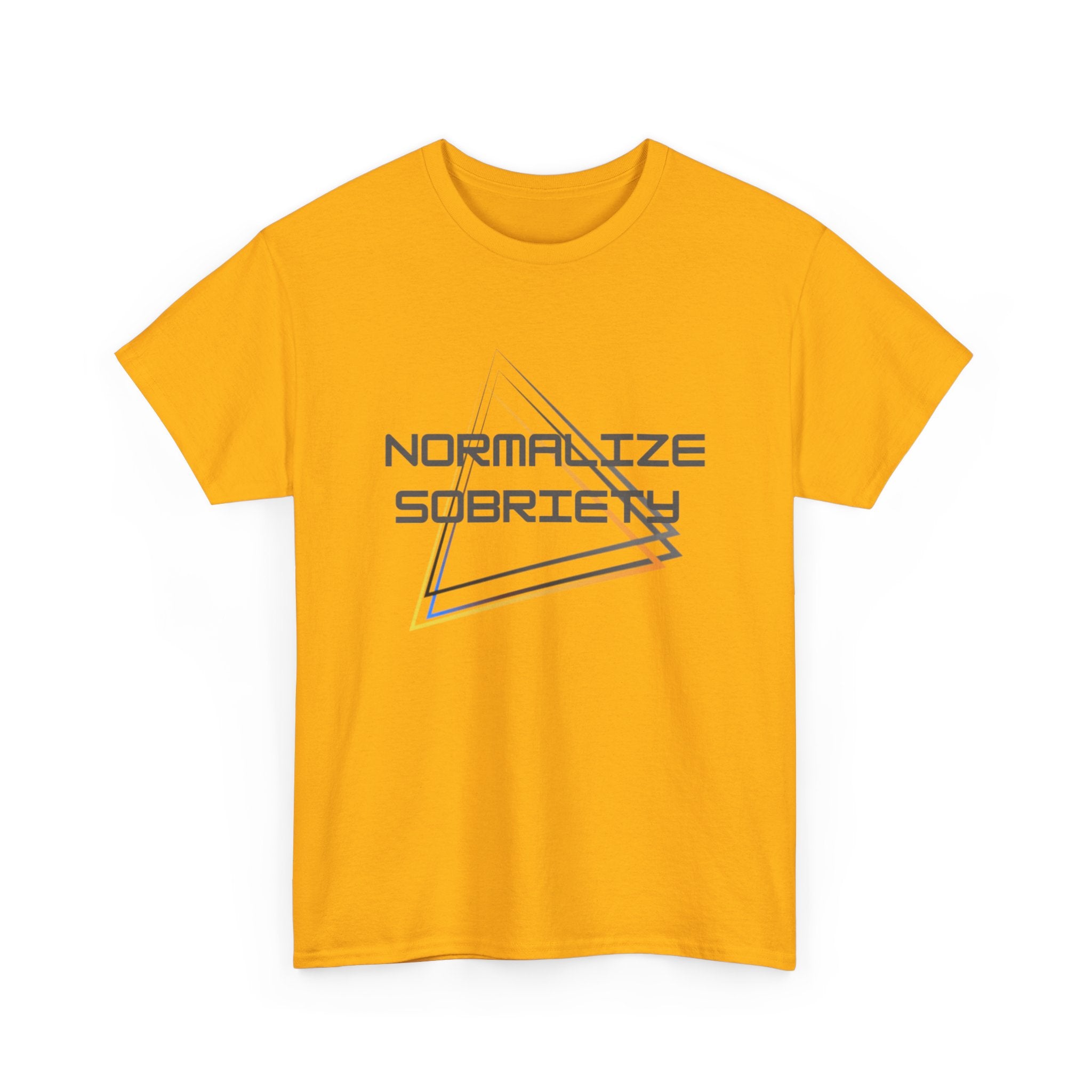 Normalize Sobriety T-Shirt — Minimal Geometric Recovery Tee
