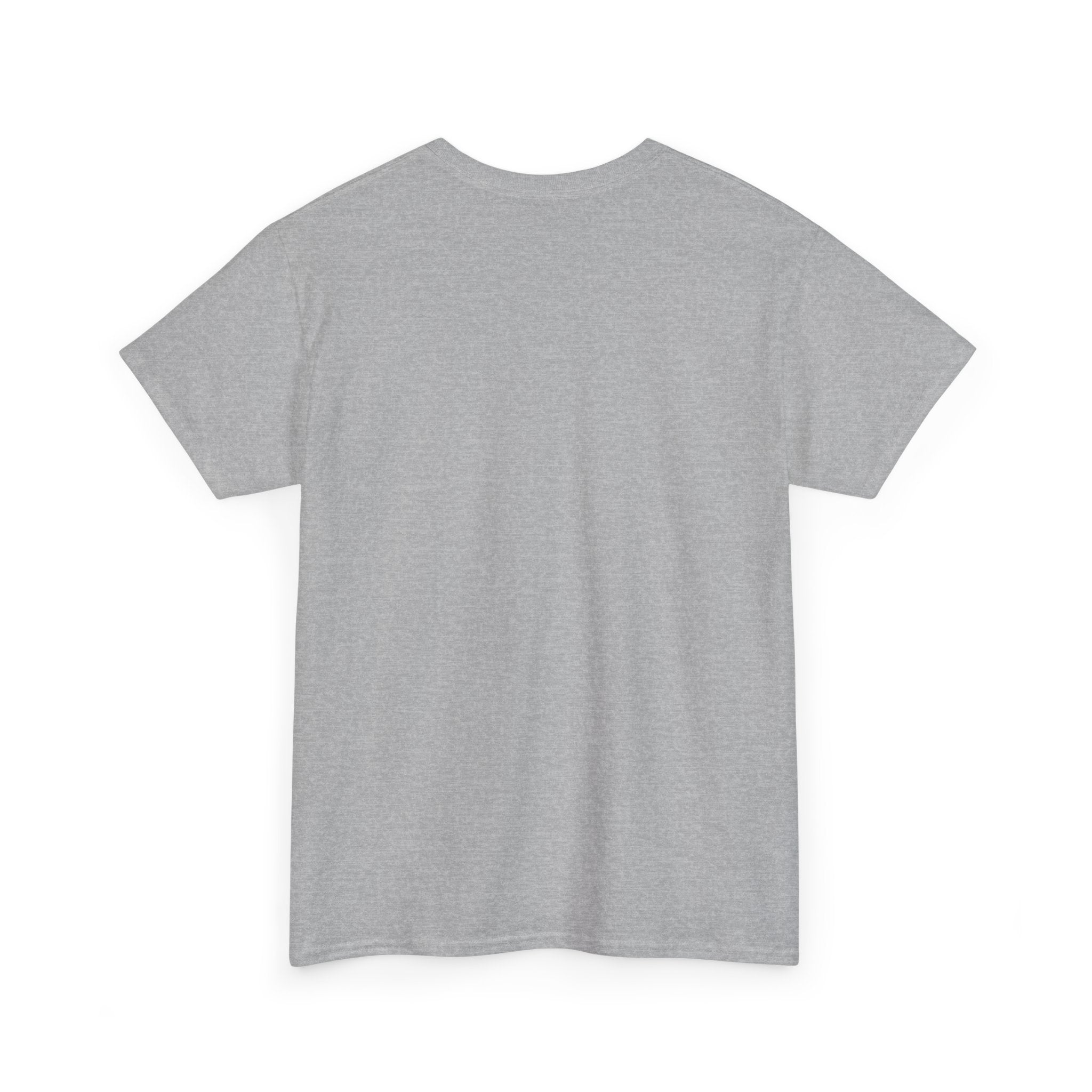 Normalize Sobriety T-Shirt — Minimal Geometric Recovery Tee