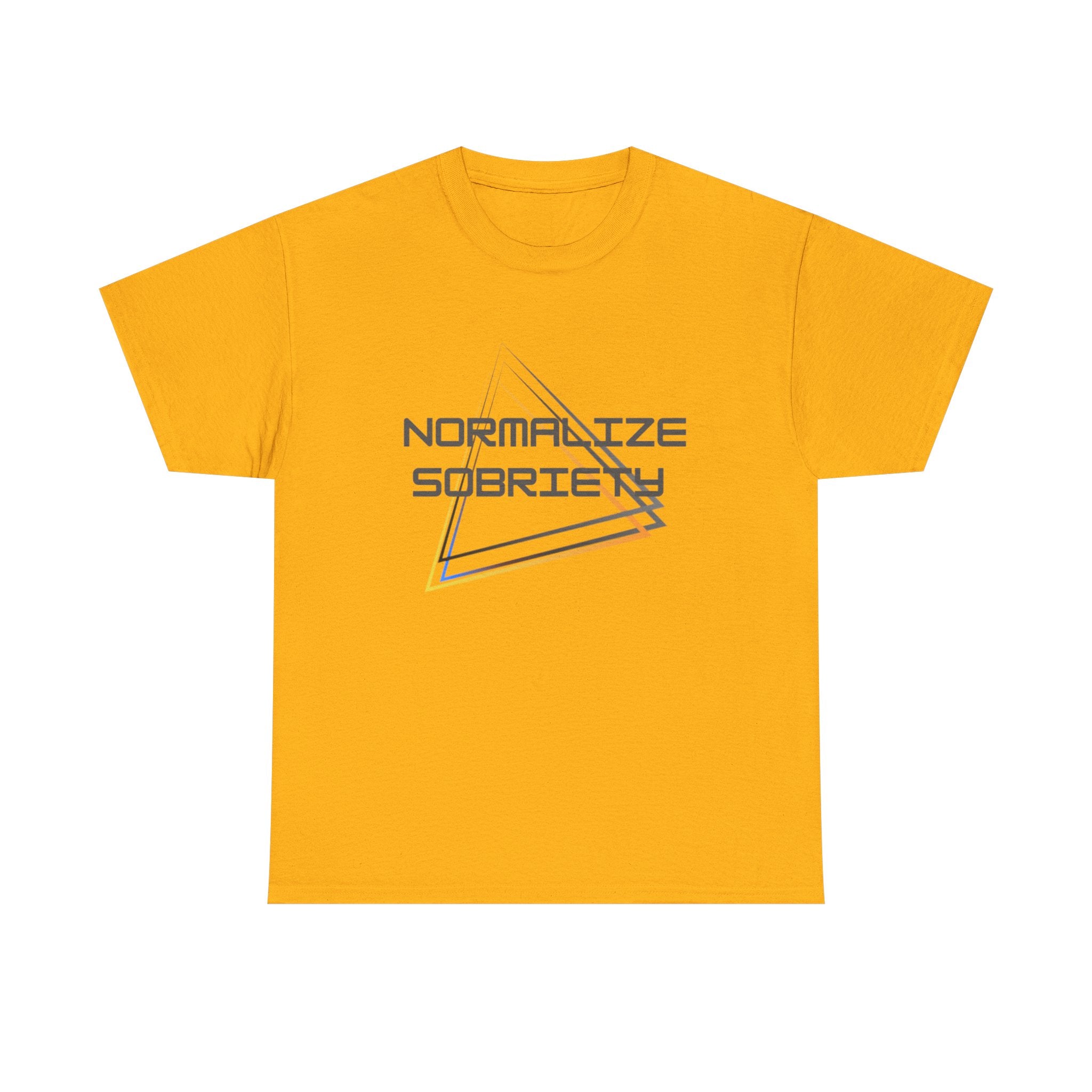 Normalize Sobriety T-Shirt — Minimal Geometric Recovery Tee